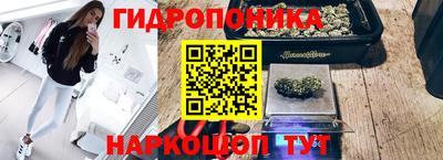 прущая мука Тара