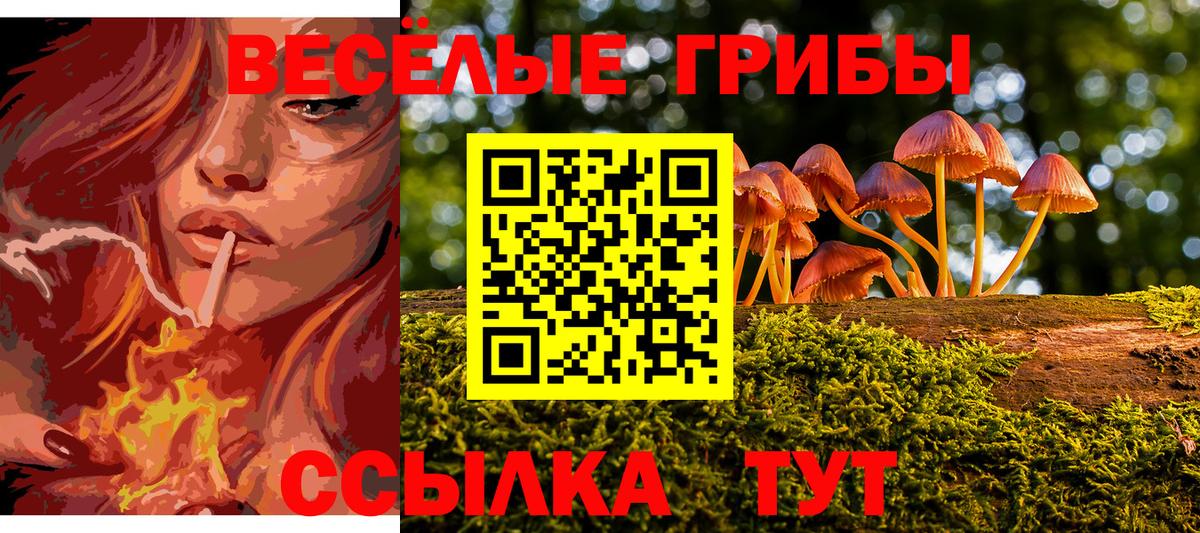 Псилоцибиновые грибы MAGIC MUSHROOMS  Вход с VPN  Белая Калитва 